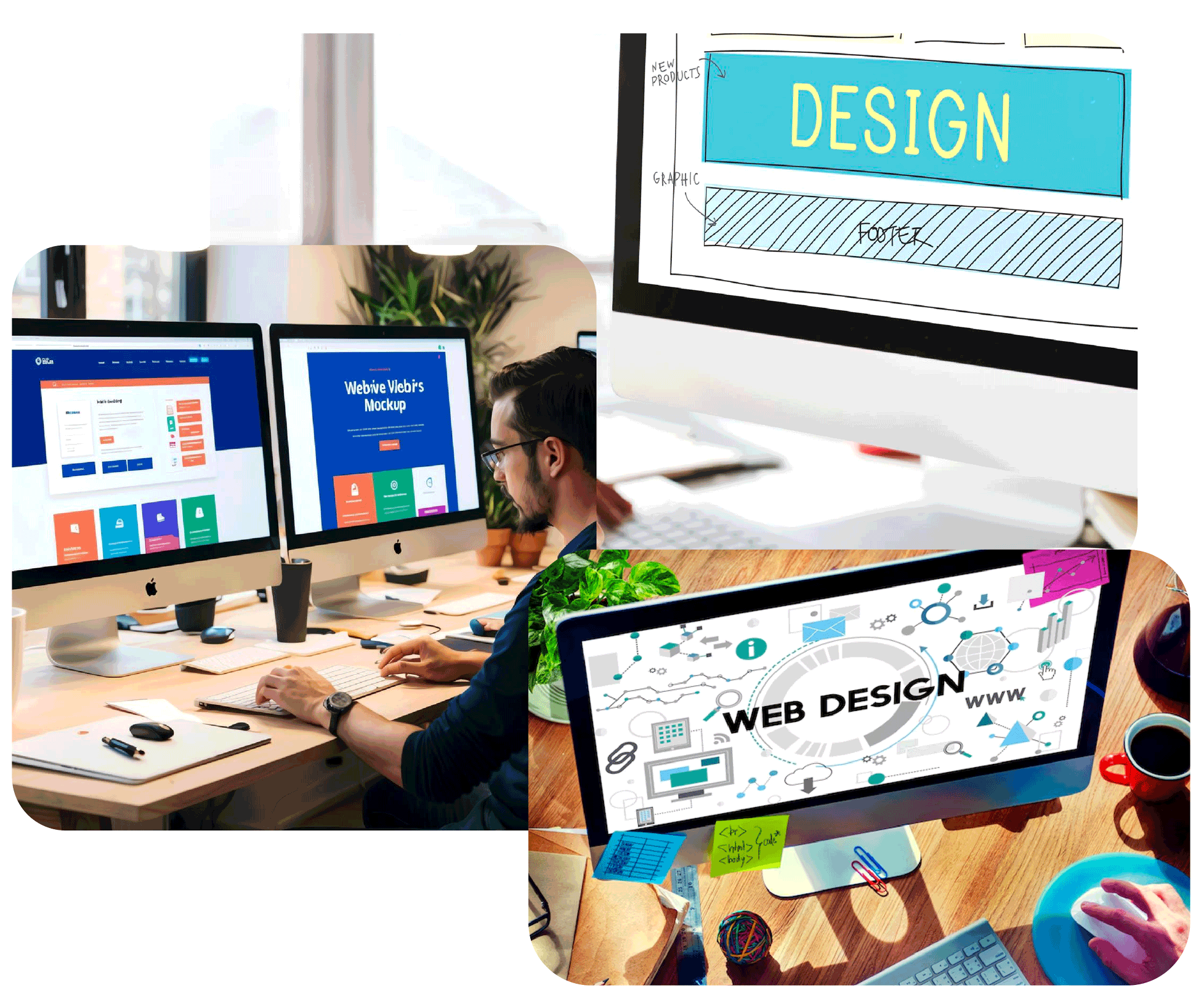 Website Design & Development Services in Bangalore